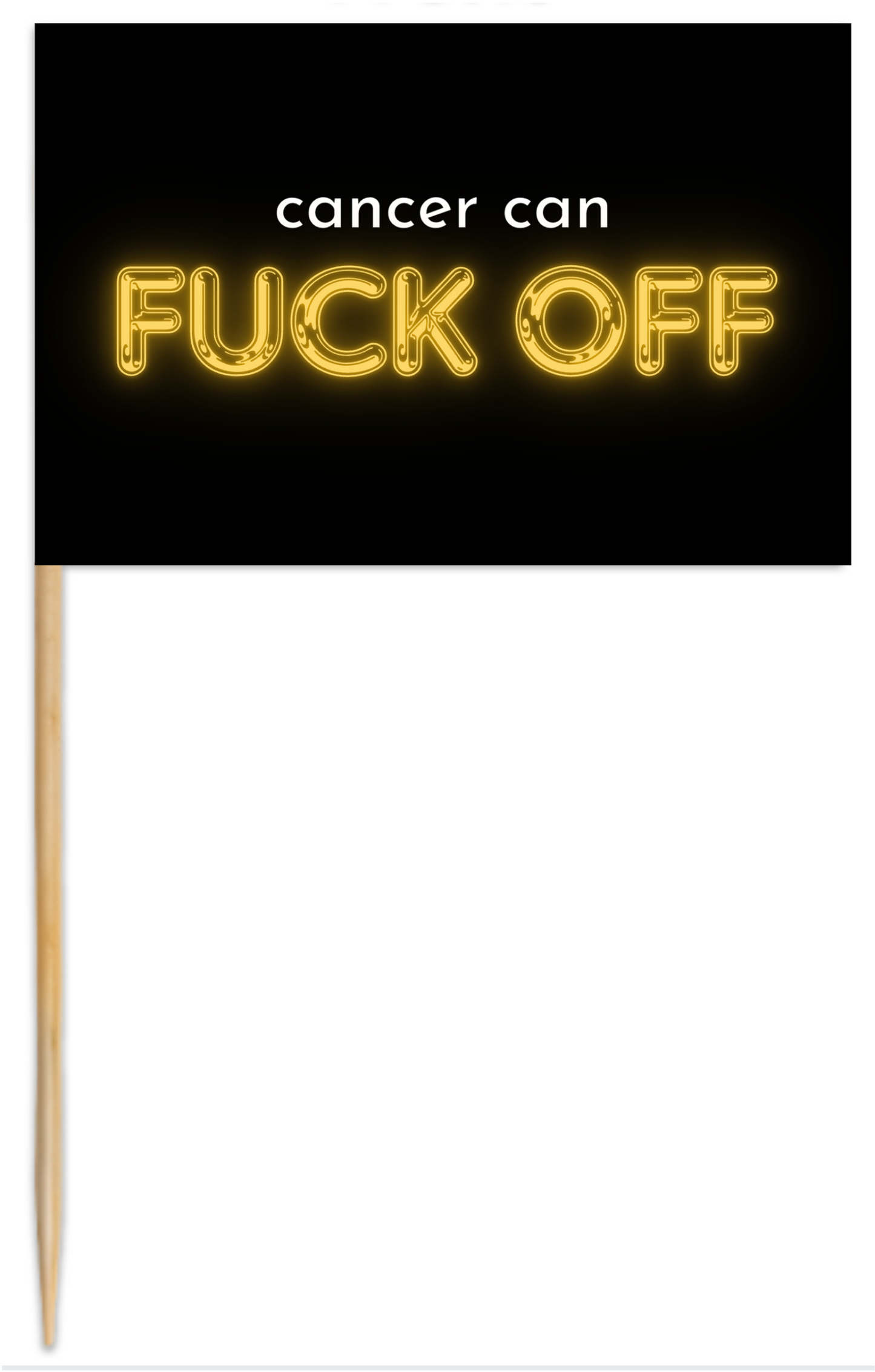 Cancer Can Fuck Off Flags