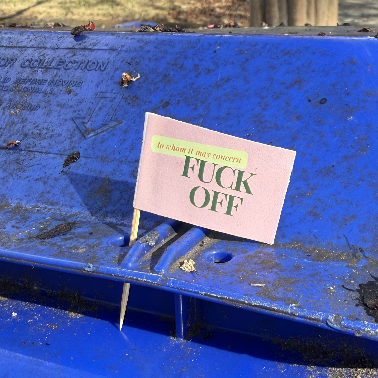 To Whom It May Concern: Fuck Off Toothpick Flags