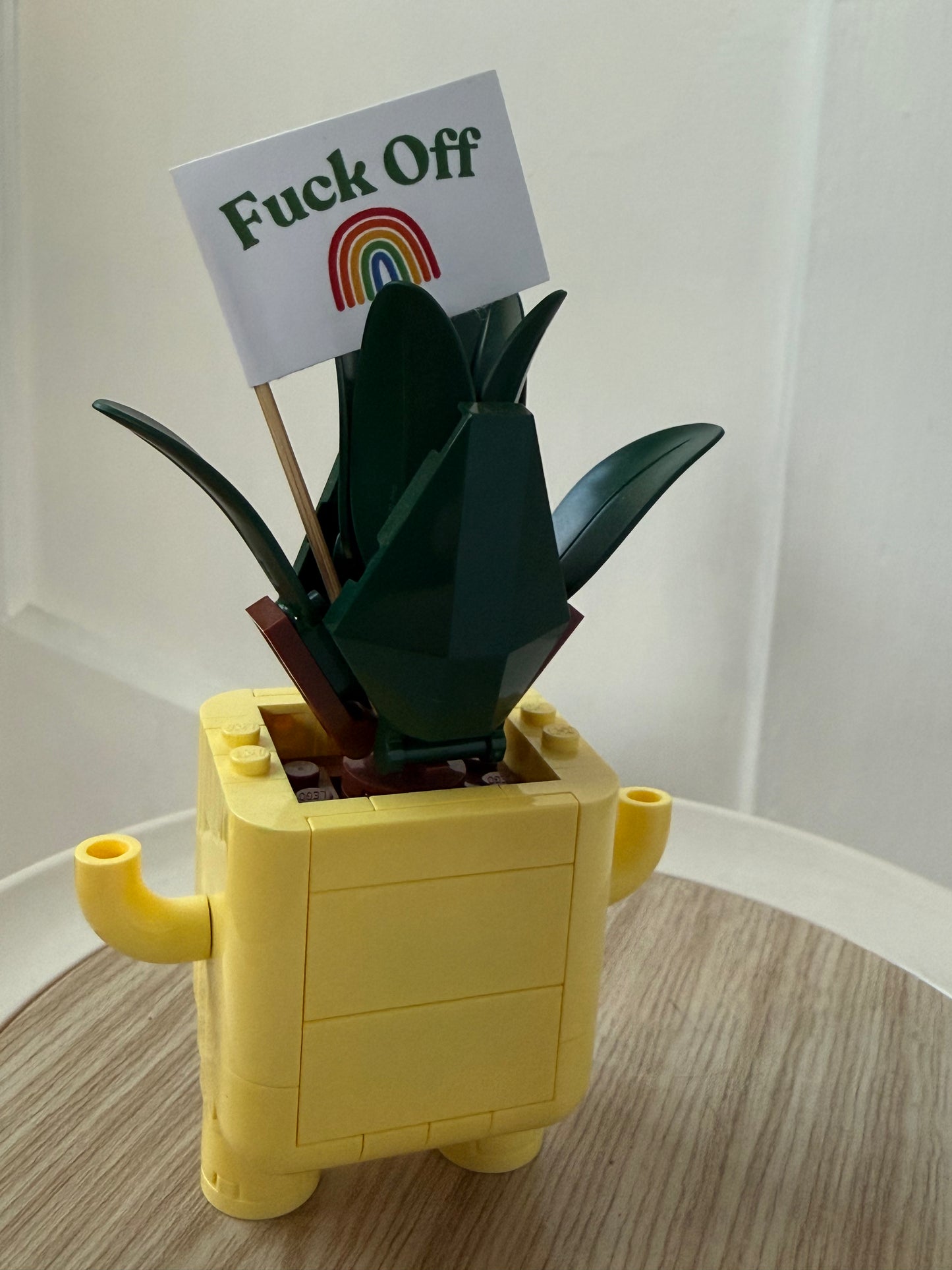 Fuck Off Over the Rainbow Flags