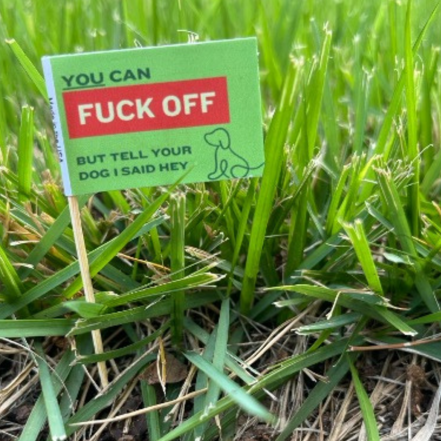 Dog Poop Fuck Off Toothpick Flags