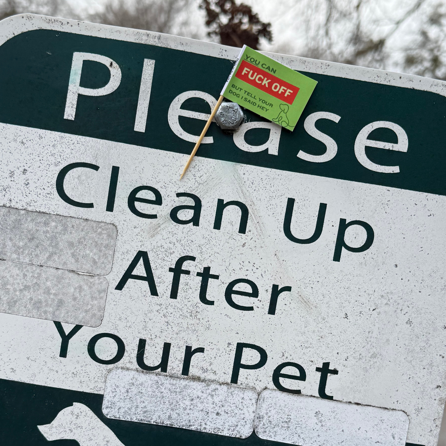 Dog Poop Fuck Off Toothpick Flags