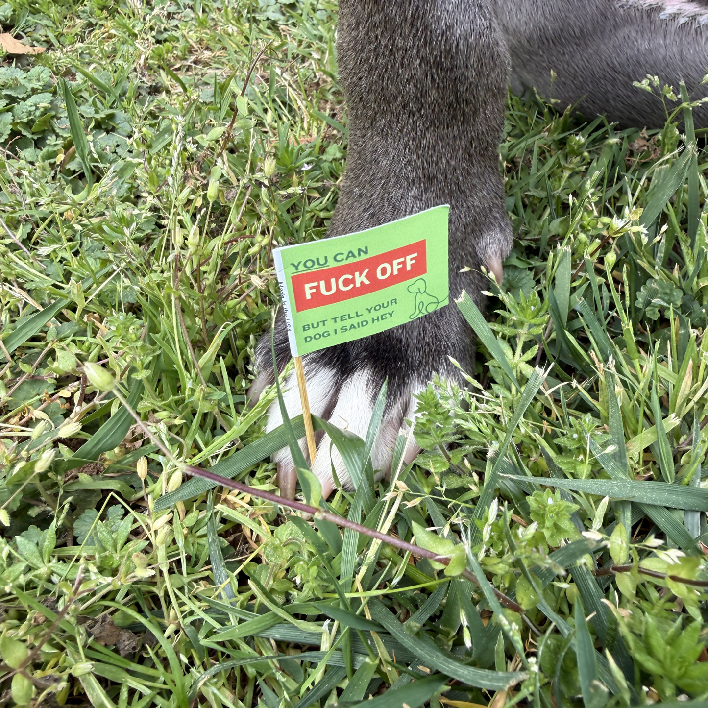 Dog Poop Fuck Off Toothpick Flags