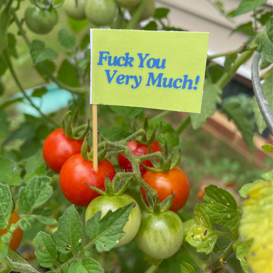 The Nice-ish Fuck Off Toothpick Flag Pack