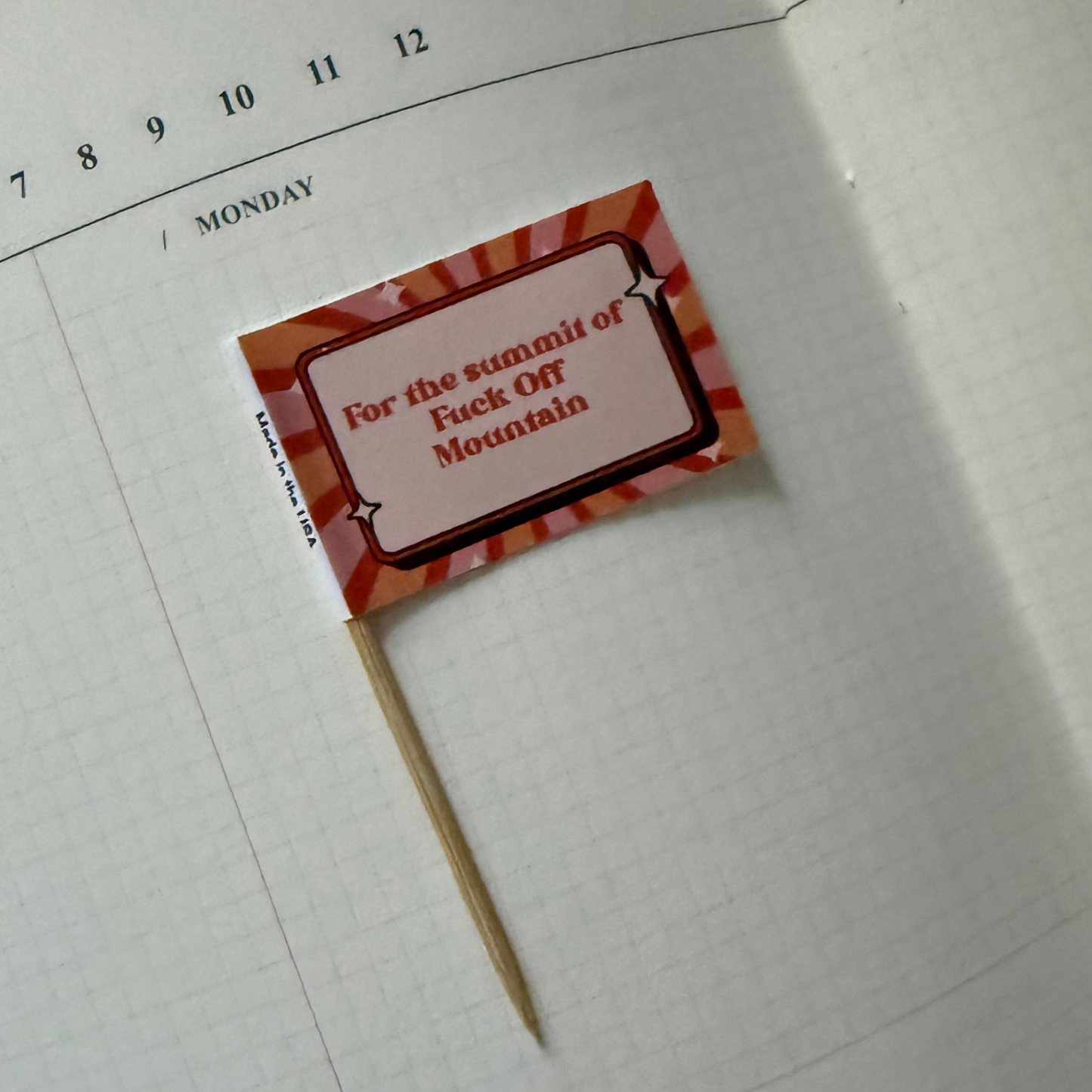For the Summit of Fuck Off Mountain Toothpick Flags