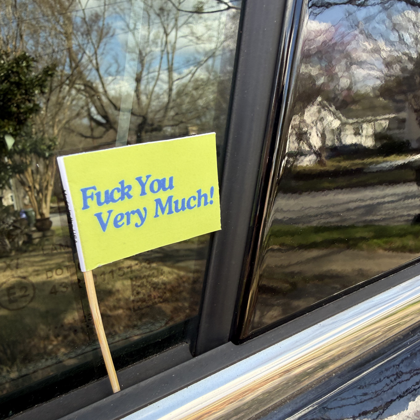 Fuck You Very Much Toothpick Flags