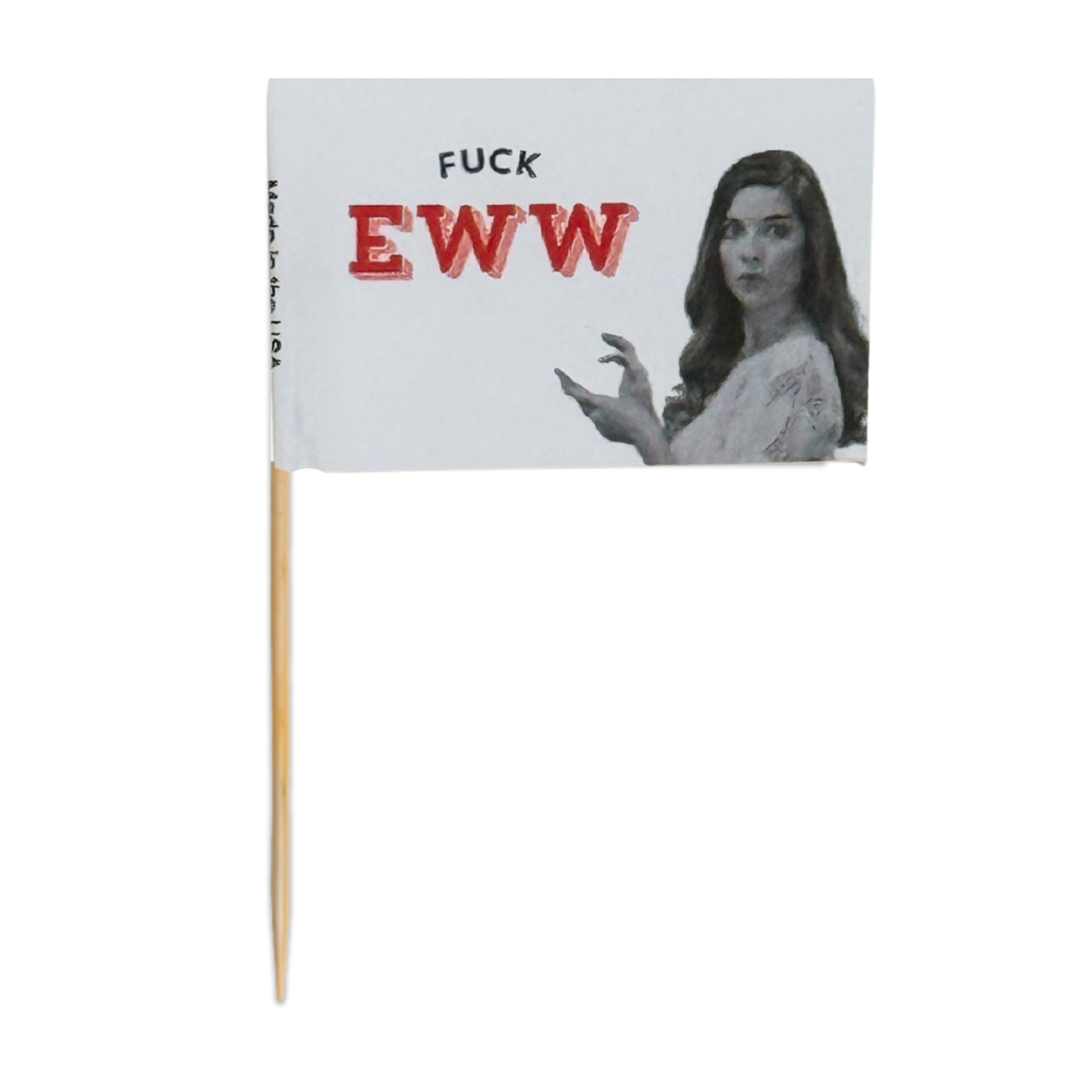 Fuck Eww Toothpick Flags