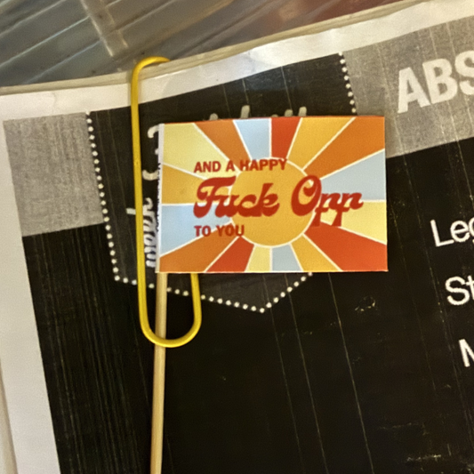 Groovy Fuck Off Toothpick Flags