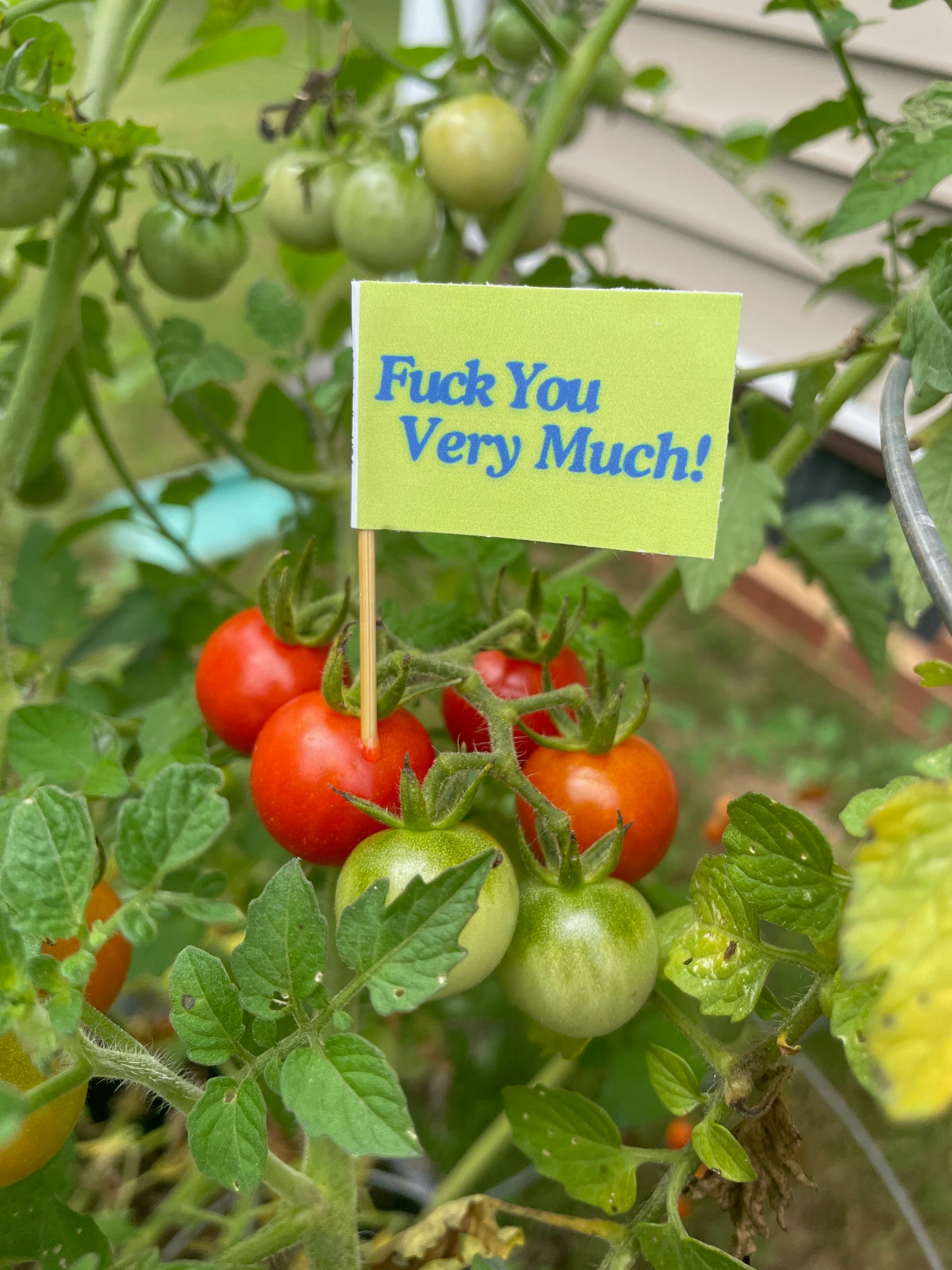 Fuck You Very Much Flags