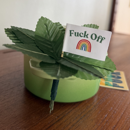 Fuck Off Over the Rainbow Toothpick Flags