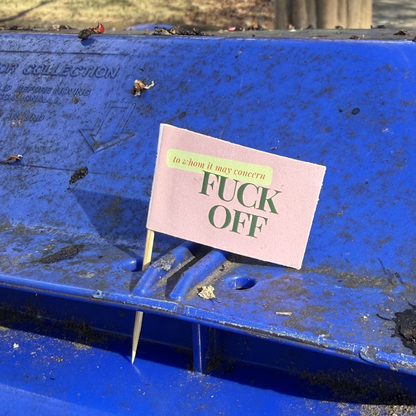 To Whom It May Concern: Fuck Off Toothpick Flags